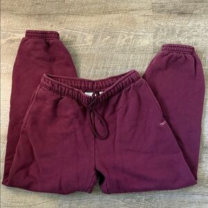 Aritzia Tna Sweatfleece Cozy Fleece Sweatpants in Maroon Size XS